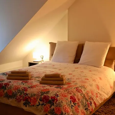 Apartment 74m2 In The Center Of Paris